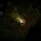 Illustration for article titled iYomawari/i Makes Japan at Night Both Creepy and Beautiful